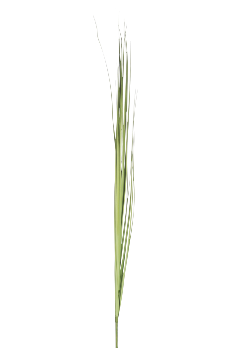 Planta, Material sintetic, Verde, 10x10x157 [1]