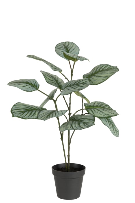Planta, Material sintetic, Verde, 12.5x12.5x63 [1]