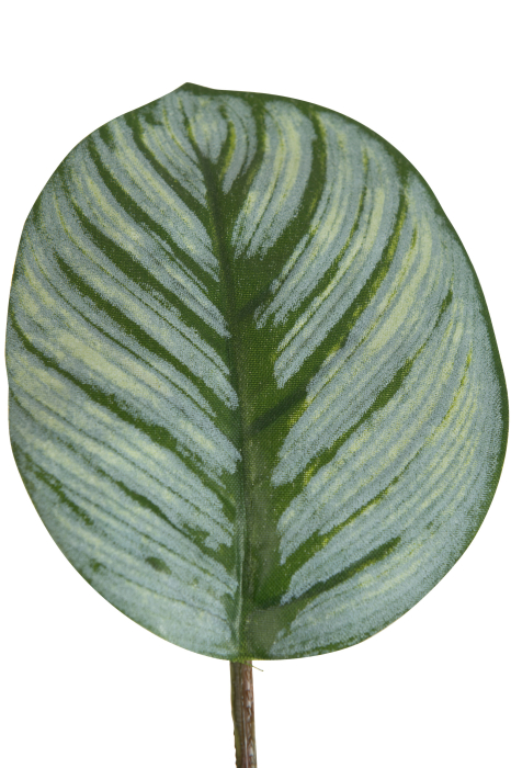 Planta, Material sintetic, Verde, 12.5x12.5x63 [2]