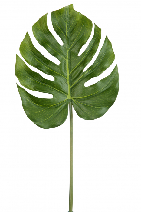 Crenguta planta artificiala, Material sintetic, Verde, 1x1x81 cm