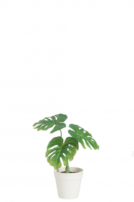 Planta, Material sintetic, Verde, 21x10x25