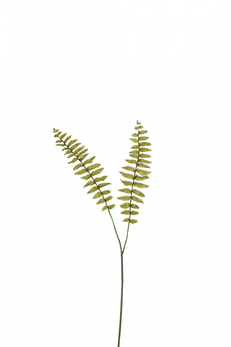 Planta, Material sintetic, Verde, 22x1x50