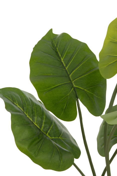 Planta, Material sintetic, Verde, 23x16x78 [2]