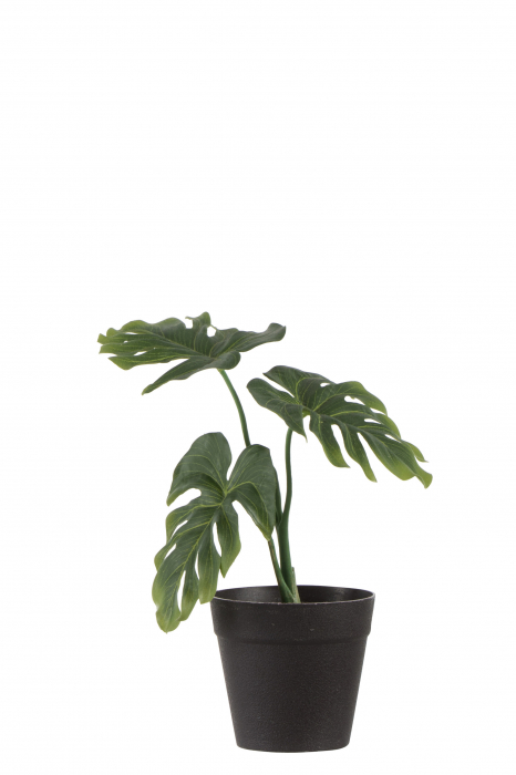 Planta, Material sintetic, Verde, 23x23x31