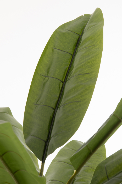 Planta, Material sintetic, Verde, 30x30x129 [4]
