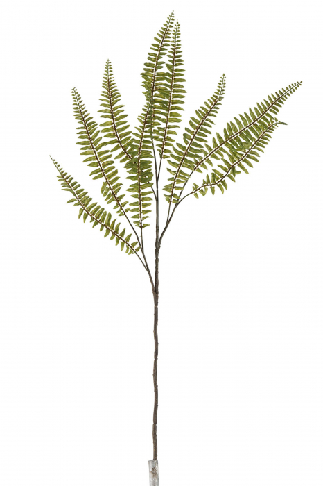 Planta, Material sintetic, Verde, 35.5x3x81