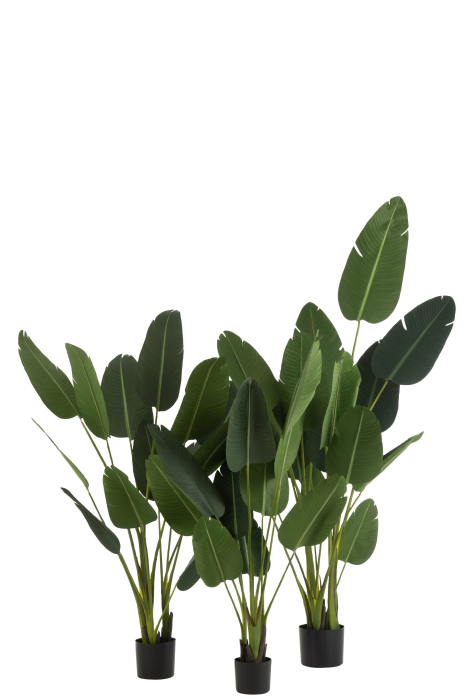 Planta, Material sintetic, Verde, 44x44x238 [4]