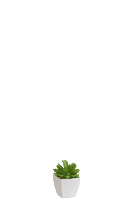 Planta, Material sintetic, Verde, 5.5x5.5x9