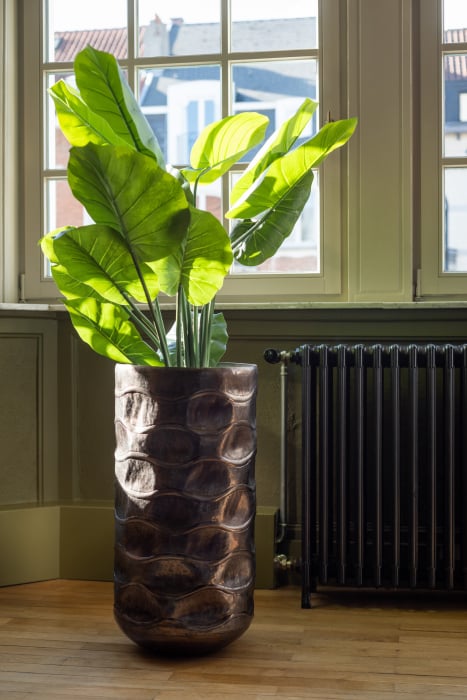 Planta, Material sintetic, Verde, 60x60x123 [1]