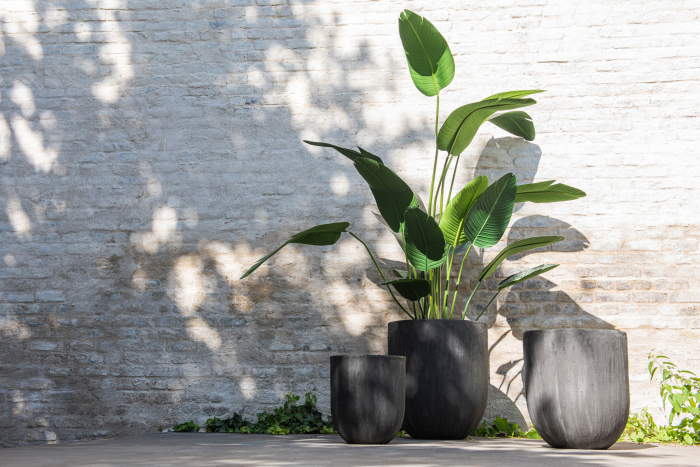 Planta, Material sintetic, Verde, 60x60x189 [1]