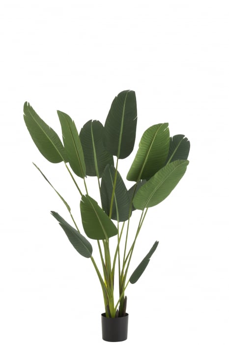 Planta, Material sintetic, Verde, 60x60x189