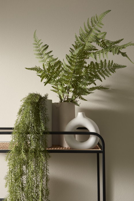 Planta suspendata, Gregor, H147CM [3]