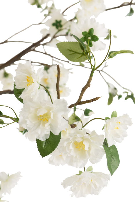 Planta, Textil, Alb, 110x110x240 [2]