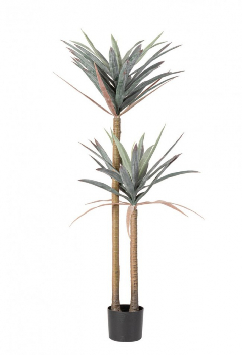 Planta Yucca cu ghiveci 68 Frunze 128 H [1]