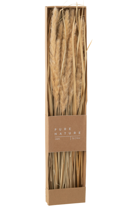 Plante uscate, Fibre naturale, Natural, 60x11.8x3.5 [1]