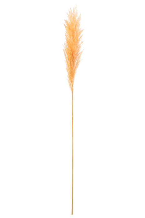 Plante uscate, Fibre naturale, Portocaliu, 8x3x127 [1]