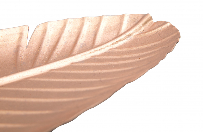 Platou decorativ Glam - B -, Fier, Aramiu, 55x18x2 cm [3]