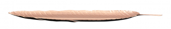 Platou decorativ Glam - B -, Fier, Aramiu, 55x18x2 cm [5]