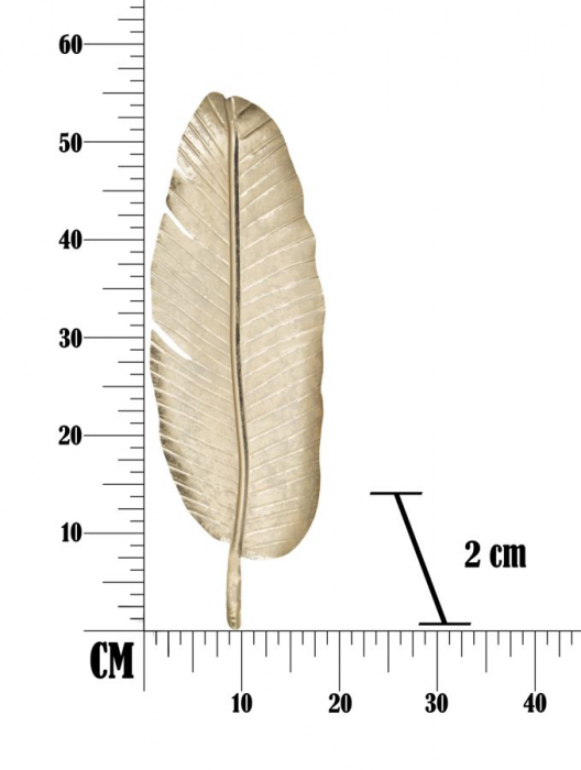 Platou decorativ Leaf glam, fier, auriu, 18X2X55  cm [10]