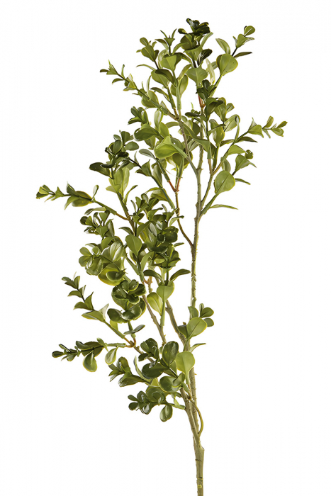 Ramură, Cimiș, Sintetic, verde, PU 12, H. 73 cm [1]