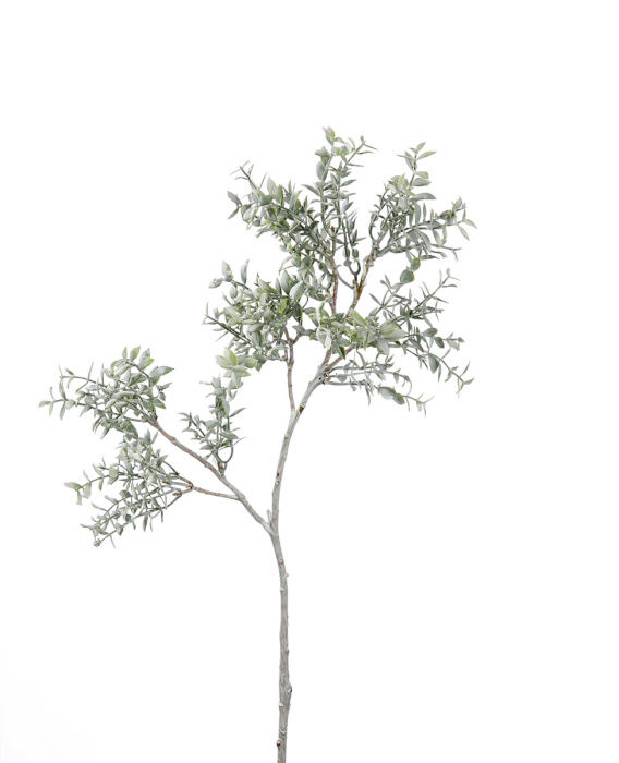 Ramură, Floare, Frunză, Sintetică, verde, PU 24, H. 53 cm [1]