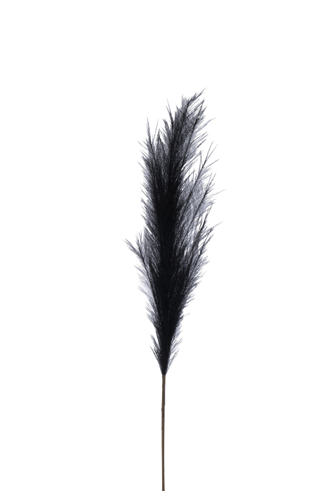 Ramura, Plumeau, Plastic, Negru M [2]