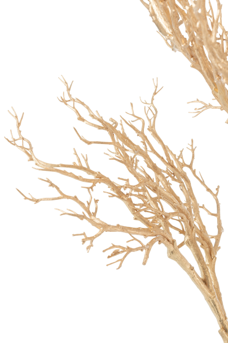 Ramuri Deco, Arborele [3]