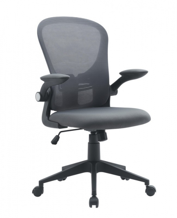 Scaun de Birou Kempton Gri cu Cotiere [1]