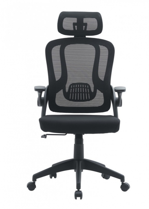 Scaun de Birou Riverside Negru cu Cotiere [2]
