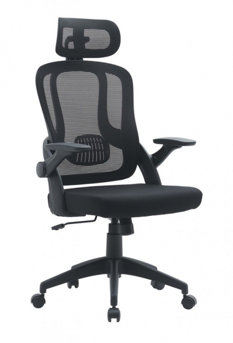 Scaun de Birou Riverside Negru cu Cotiere [1]