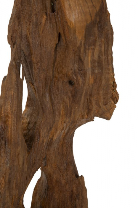 Sculptură, Akar din tec reciclat 18x13x55 cm (piesa unica) [4]