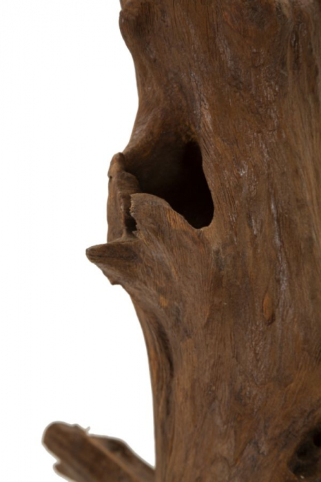 Sculptură, Akar din tec reciclat 23x27x64 cm (piesa unica) [4]