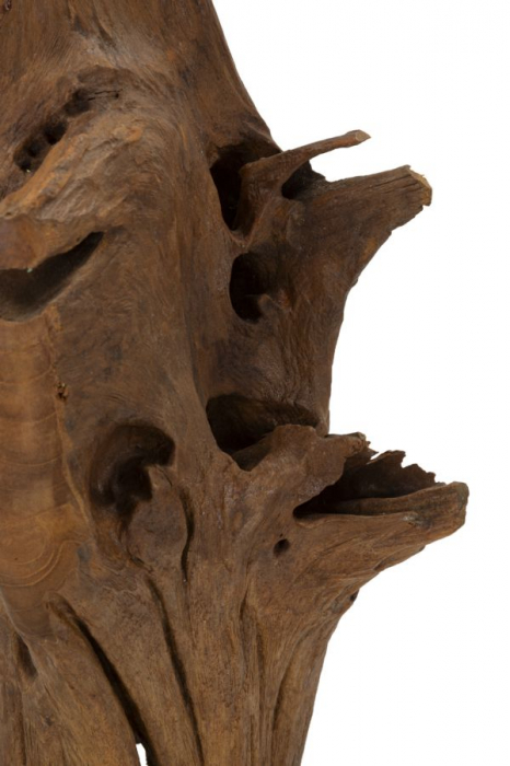 Sculptură, Akar din tec reciclat 23x27x64 cm (piesa unica) [5]