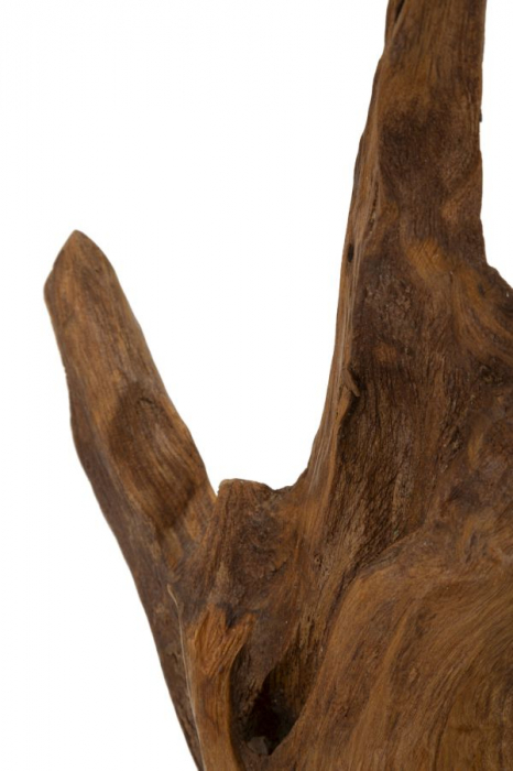 Sculptură, Akar din tec reciclat, cm 20x11x34 min 2 (piesa unica) [5]