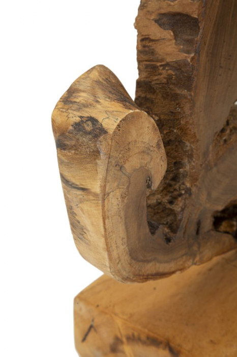 Sculptură, Bintang din tec reciclat 31x13x35 cm (piesa unica) [6]