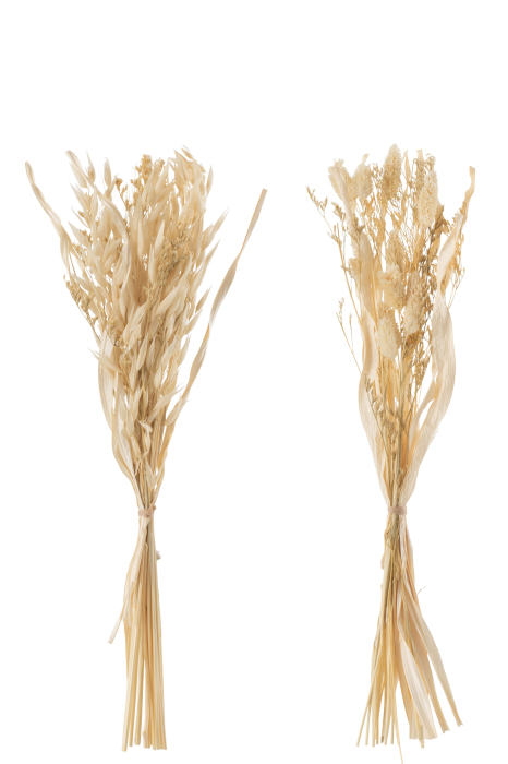 Set 2 buc plante uscate, Fibre naturale, Natural, 12x2x42 [2]