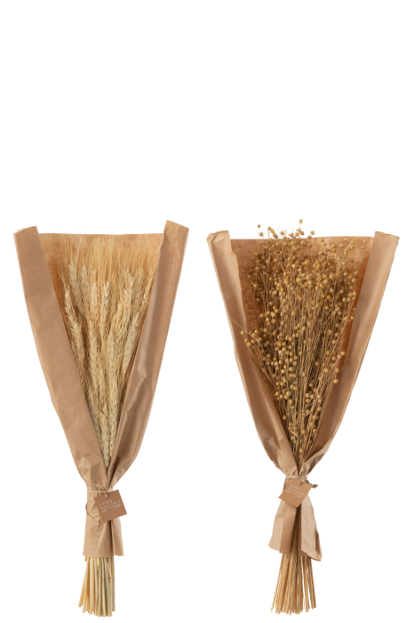 Set 2 buc plante uscate, Fibre naturale, Natural, 18x4x55 [2]
