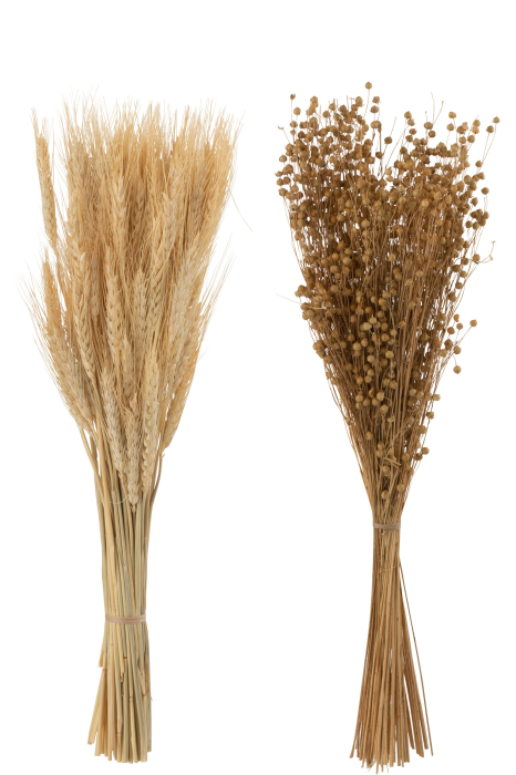 Set 2 buc plante uscate, Fibre naturale, Natural, 18x4x55 [3]