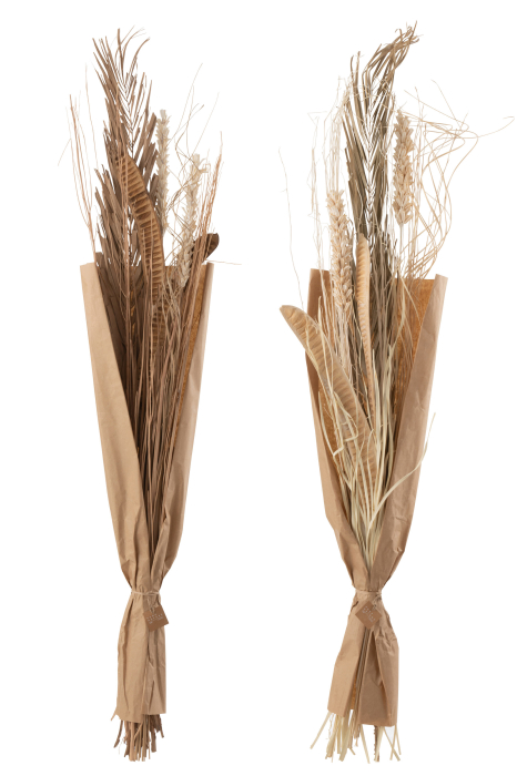 Set 2 buc plante uscate, Fibre naturale, Natural, 20x5x145 [2]