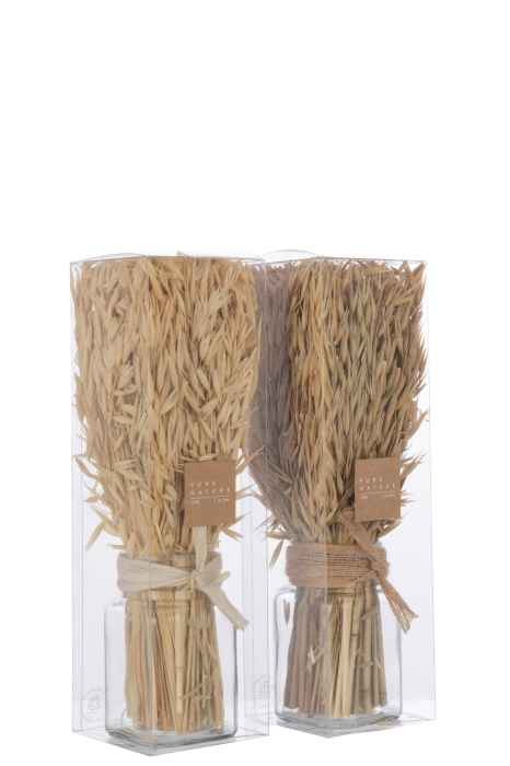 Set 2 buc plante uscate, Fibre naturale, Natural, 7.3x7.3x30 [4]