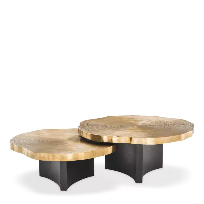 Set de 2 Măsuță de cafea, Thousand Oaks cu finisaj alama [7]