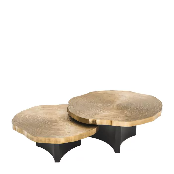 Set de 2 Măsuță de cafea, Thousand Oaks cu finisaj alama [2]