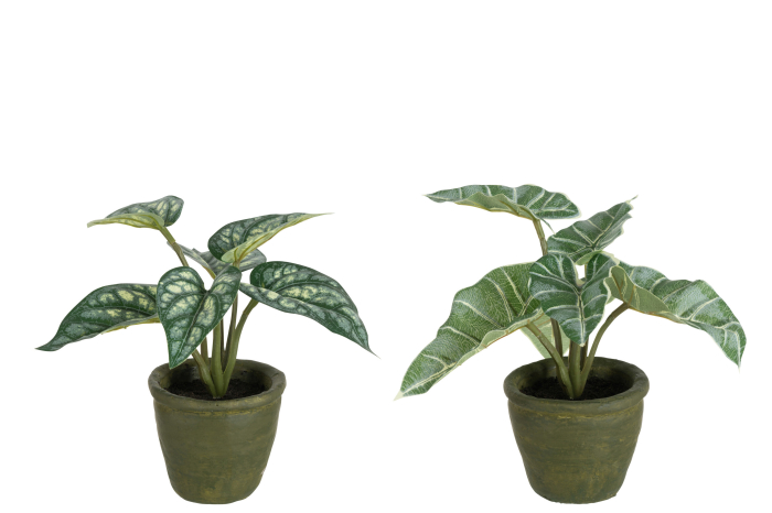 Set 2 plante artificiale, Material sintetic, Verde, 22x22x20 [2]