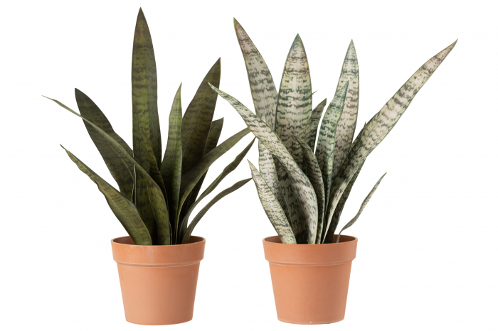 Set 2 plante ghiveci, Plastic, Verde, 20x20x72.5 cm