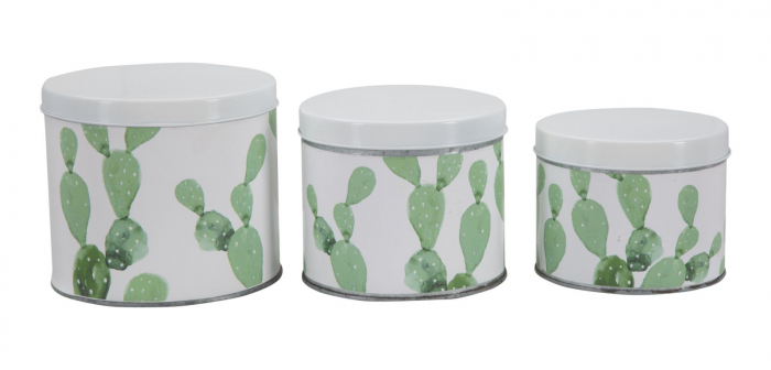 Set 3 cutii Cactus, fier, alb/verde, 15X13.5-14X11.5-12.5X10  cm [2]