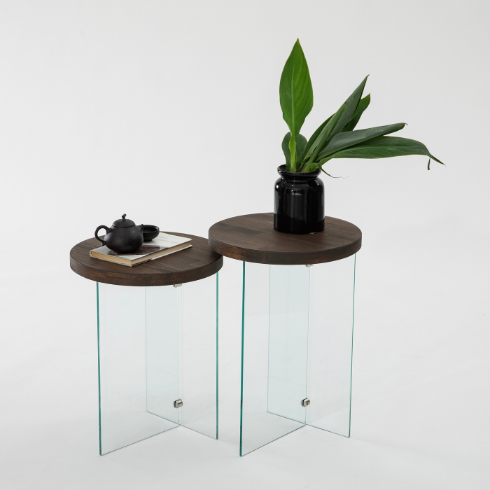 Set Masuta Cafea Serenity 2 - Transparent Nuc