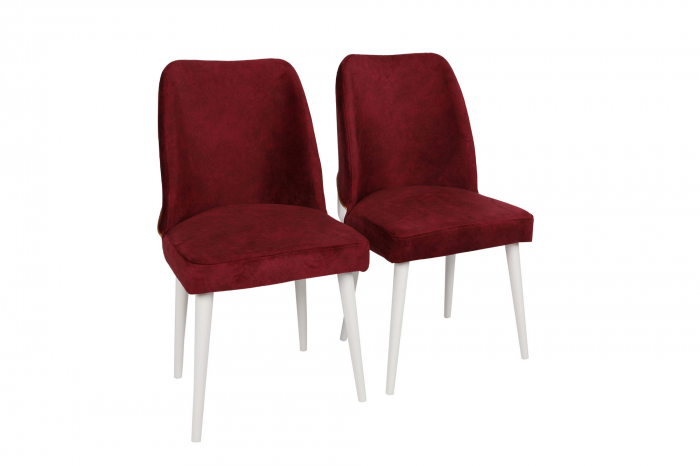 Set scaune (2 bucati)