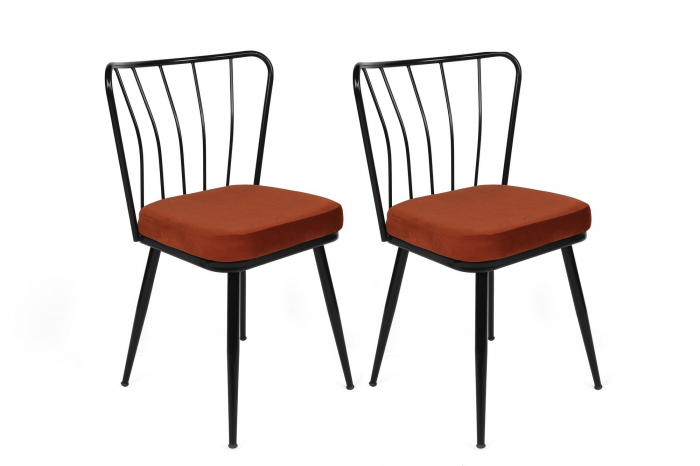 Set scaune (2 bucati)