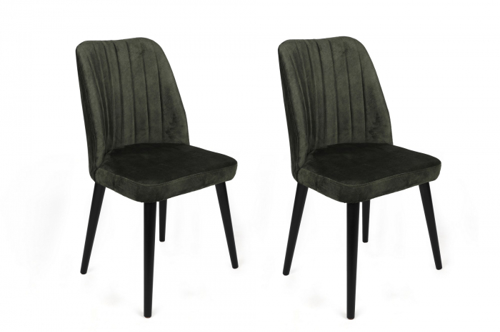 Set scaune (2 bucati)