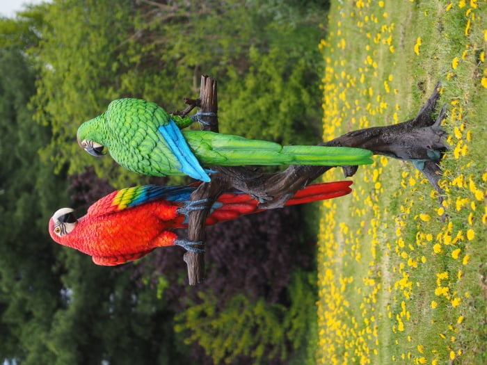 Statuie 2 papagali pe o creanga, Bronz, 175 X 66 X 93 cm